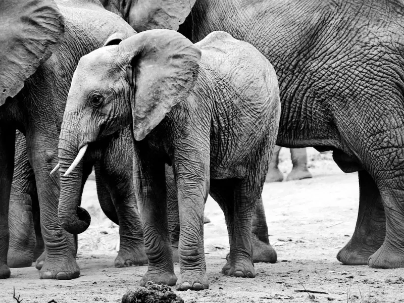 挽回女友：对女友发脾气后把我拉黑，该怎样挽回她