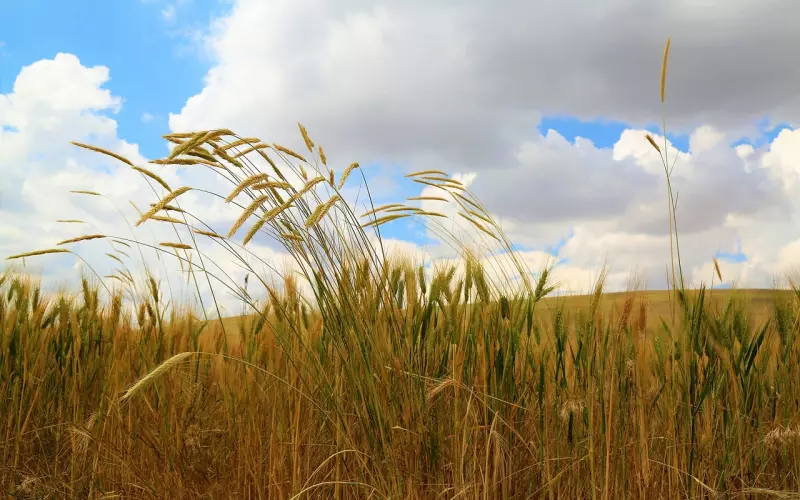 挽回男友：分手怎么挽回处女座男友？挽回处女座男友攻略