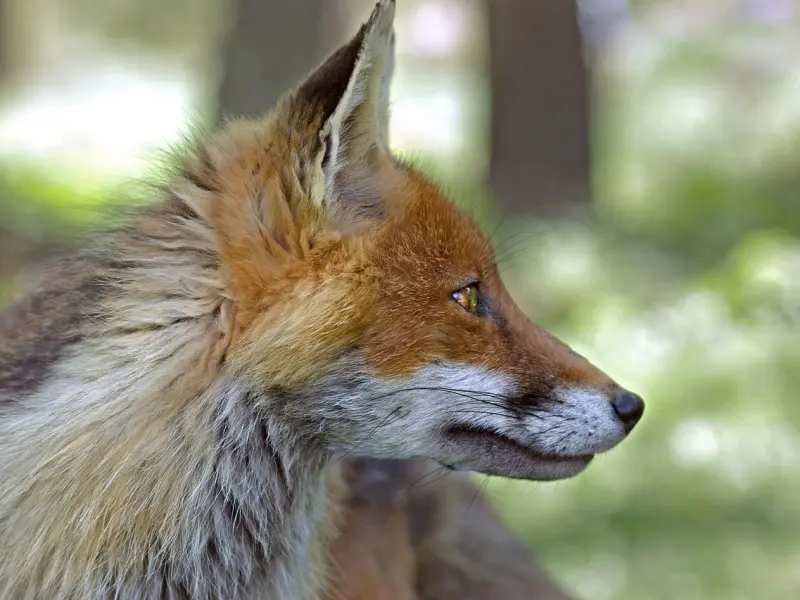 挽回男友：这几点你应该去注意