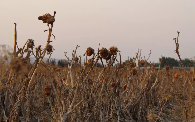 挽回男友：挽回男朋友的技巧,男人心死了怎么挽回？