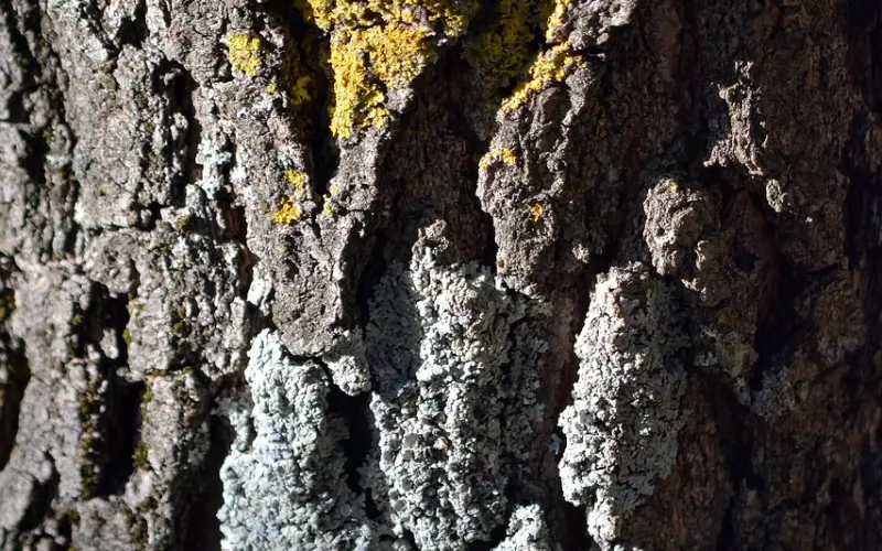 挽回男友：必须注意的三大心理雷区