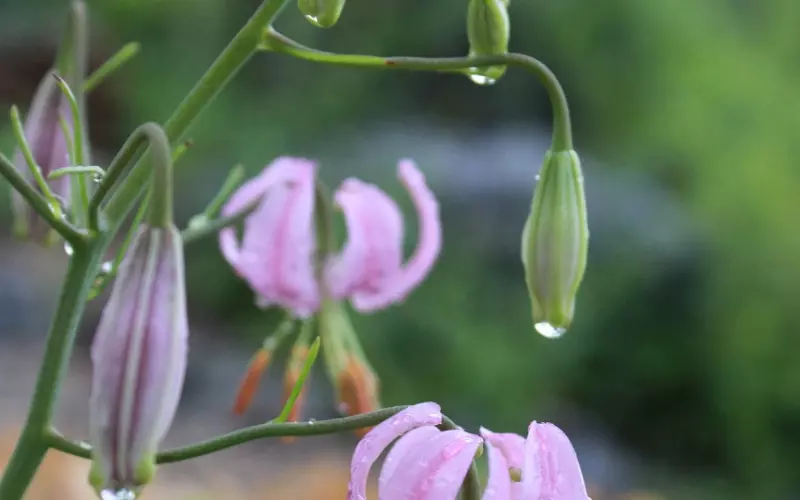 挽回男友：如何做才能缩短真性分手挽回的时间