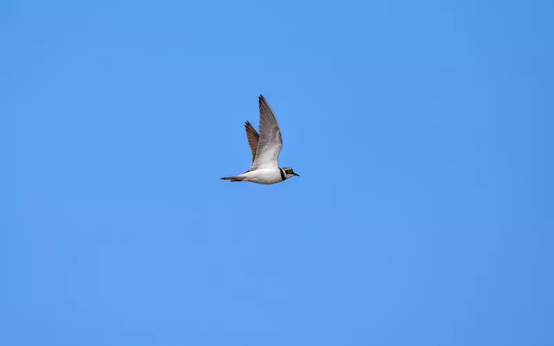 挽回男友：遇到妈宝男了，该挽回吗？