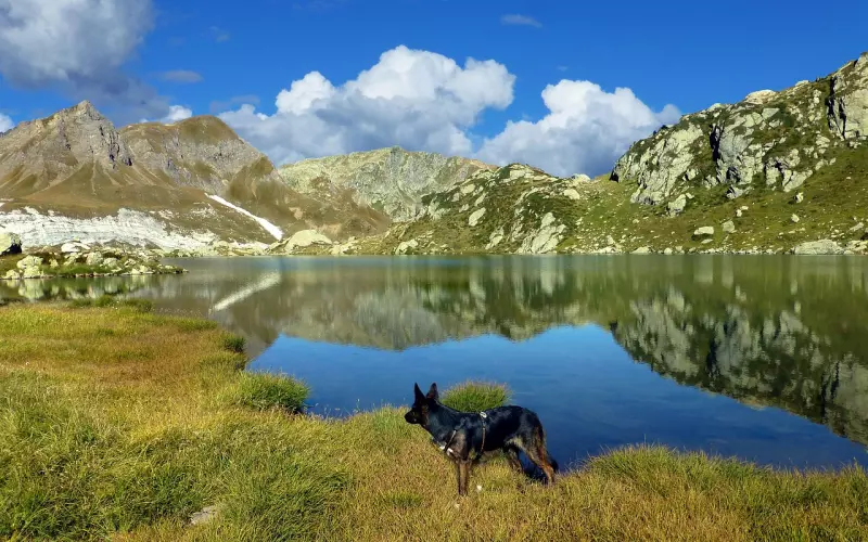 挽回前任：为什么你的道歉没有为你的挽回带来效果