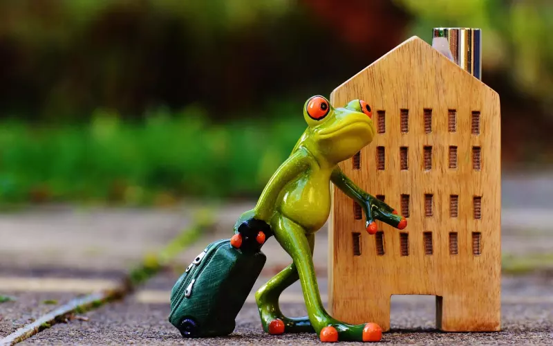 挽回女友：前女友有了新的男友，该怎么挽回她