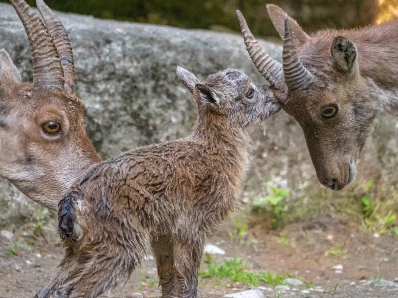 挽回女友：和摩羯女吵架后需要注意的几点
