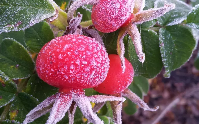 冬天来了，如何和爱人亲密互动才最温暖？