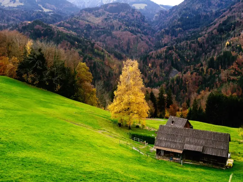 ❤心态好，一切都好……这就是人生！