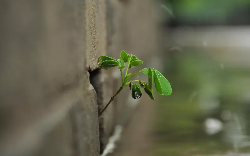 没有了吸引力，还妄想有生命力的爱情？