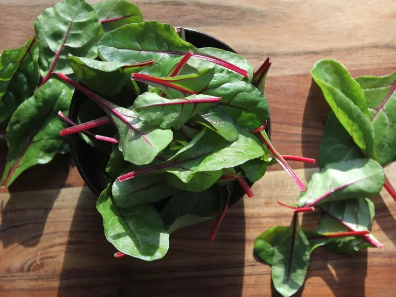 没有这三样“东西”的女人，男人早晚会出轨