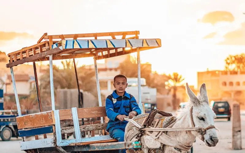 女人，去工作吧