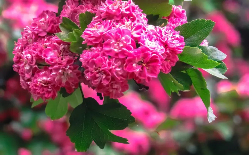 女人，你应该嫁给感性还是嫁给理性？