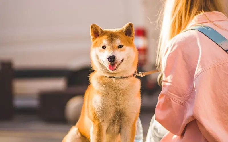 女人，是谁在驯化你？