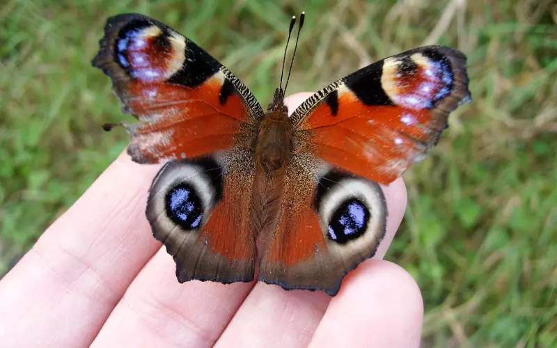 女人，你的极端，正在阻碍你的挽回