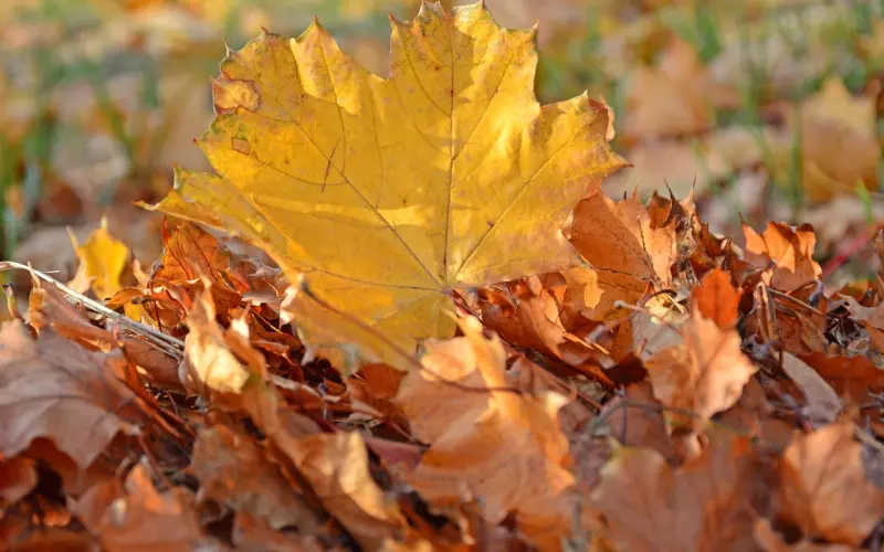 女人在三种情况下，最容易放纵自己