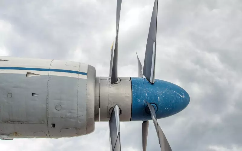 女人安不安分，看这些方面的细节就一清二楚了，别不懂