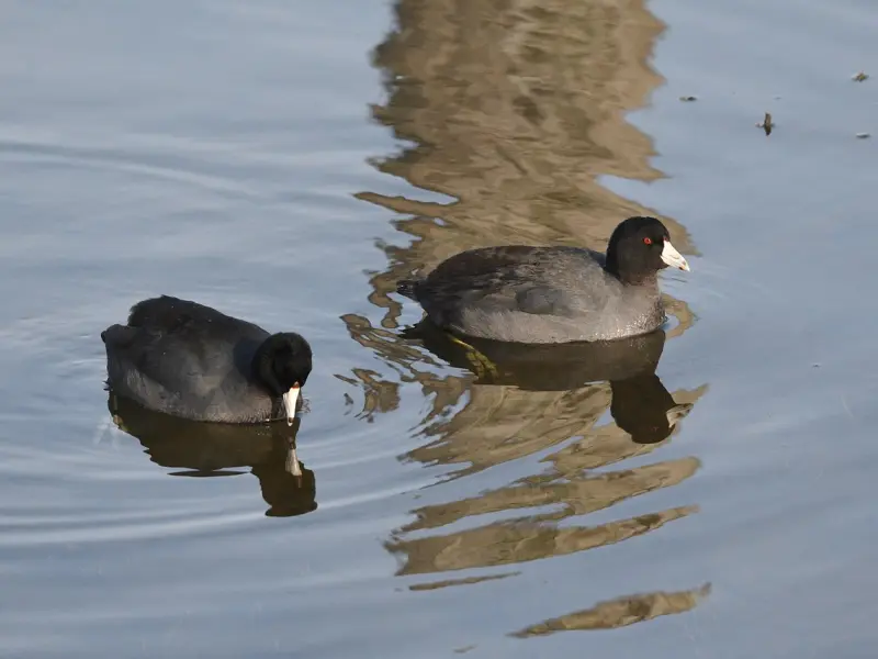 女人有了“二心”，才有这样的表现，就不要再傻傻付出了