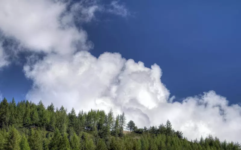 女人可以容忍很多事，但这5件，绝对不能忍！