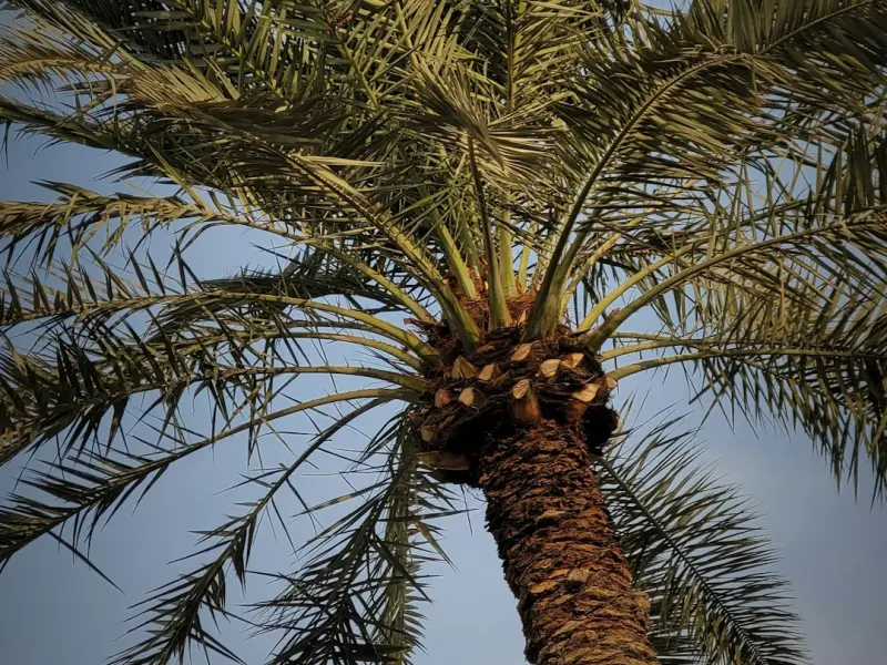 女人不敢撒娇，是因为没有人惯着!感动了千万人