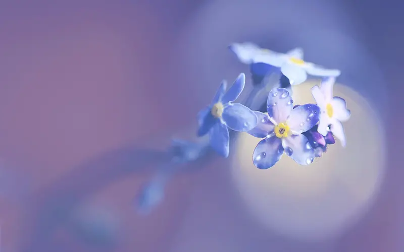 女人，不要太贤惠