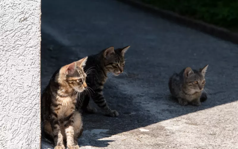 女人不一定要漂亮，但一定要懂这些。