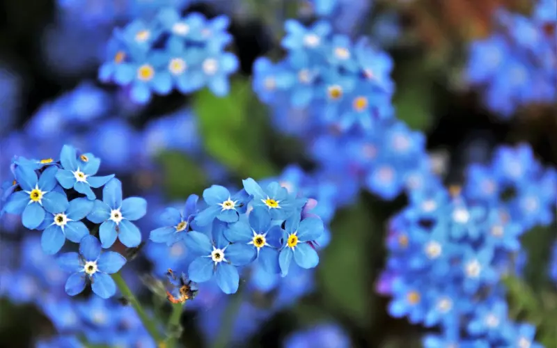 女人不要为这些小事斤斤计较，否则男友会和你分手！