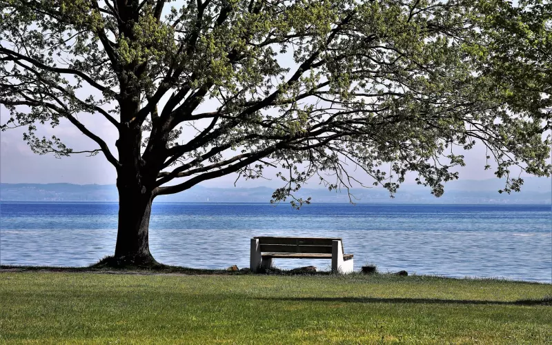 女人要学会一个人走!
