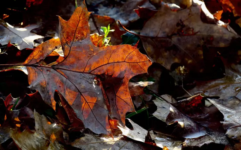 男人分手后的反感期，女人应谨慎注意