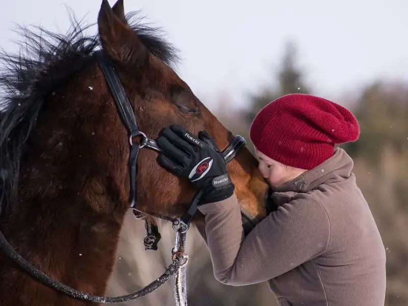 容易受伤的女人，都有这点特质