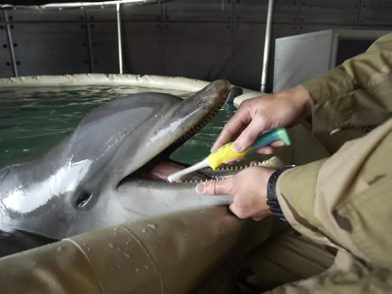 能让男人主动联系的女人，大多具备这些优点，让男人久久不能忘掉