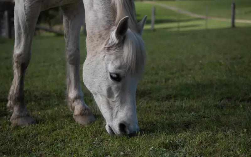 想让男人吃回头草的女人，都有这几种特征！