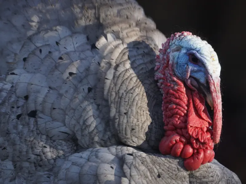 女人，想“泡你”，才会给到你这3种明显“暗示”！