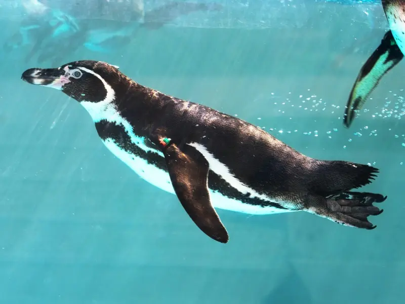 情商较高的女人，不会主动为男人做这些事，别不懂