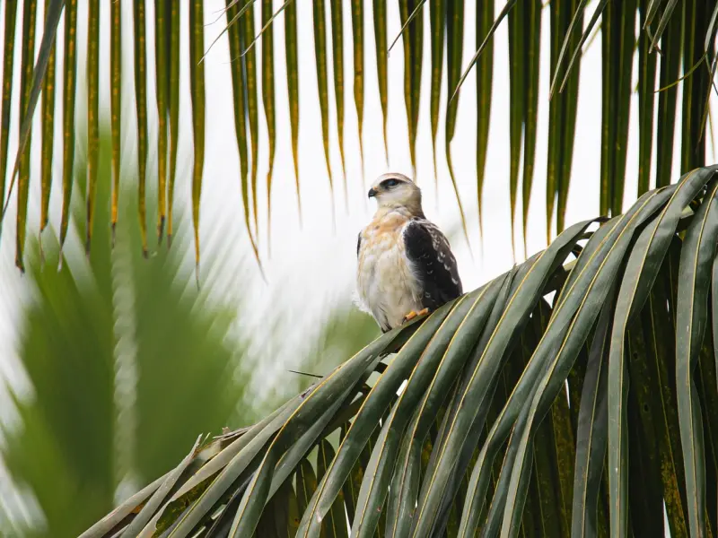 低情商的女人会有的三个表现，中了任意一条，也就不值钱了！