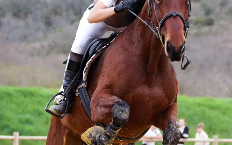 口说无凭，要看行动来证明