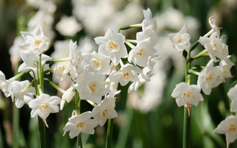 如何挽回感情的话语