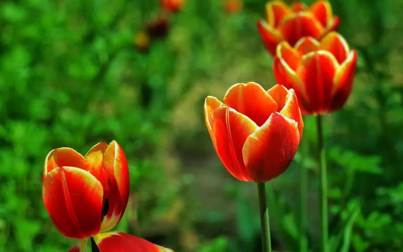 导致挽回男友失败的话语