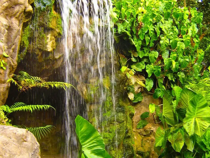 挽回男友感动他的话