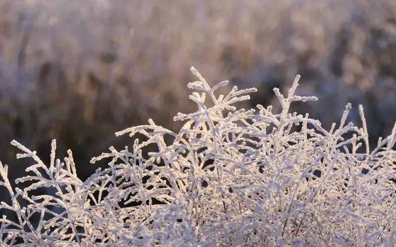 分手后挽回爱情的话 挽回男友冰冷的心