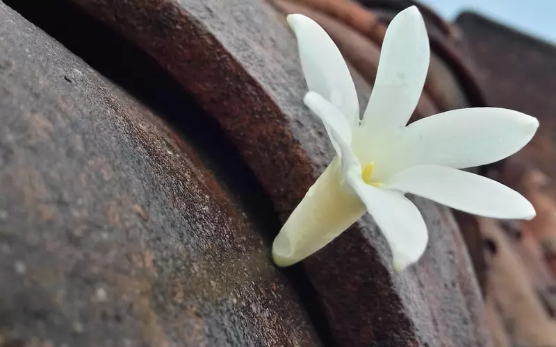 挽回男友的话！看一次感动一次