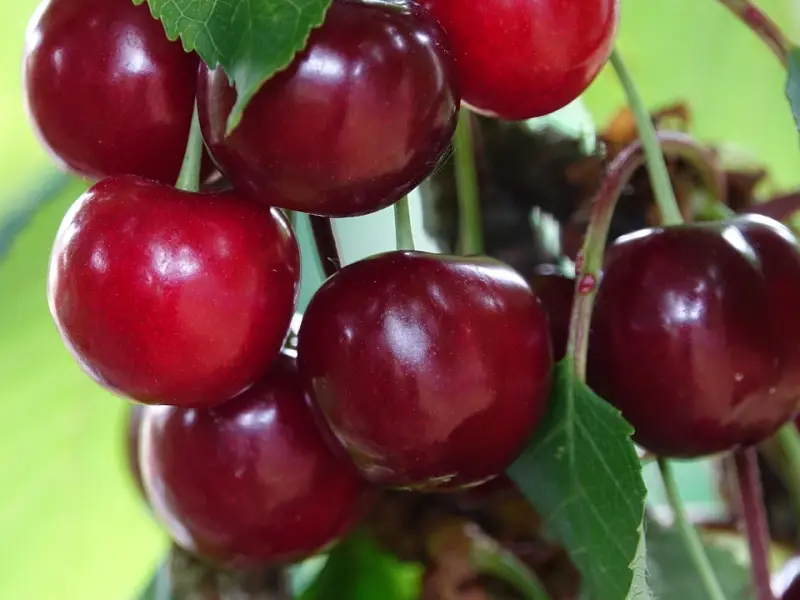 你会和很丑但对你很好的人谈恋爱吗？