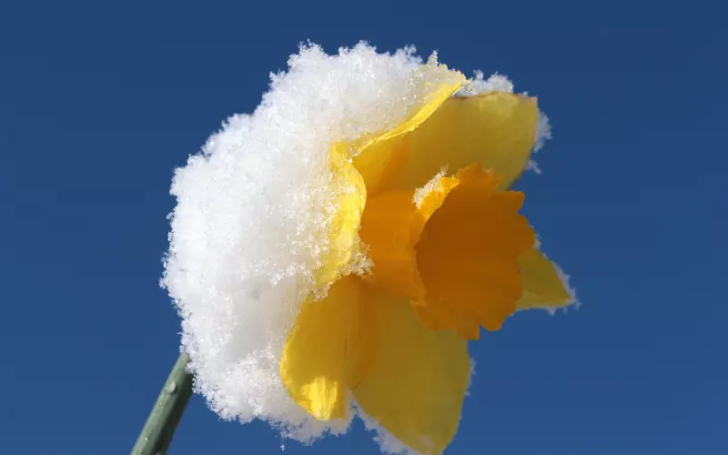 写给又爱，又想，又不能在一起的人