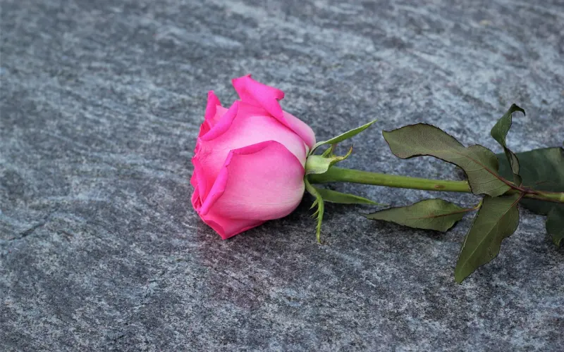 写给想去爱、正在爱、失去爱的人