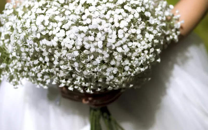 吴奇隆刘诗诗曝婚纱照 即使不被看好又怎样？