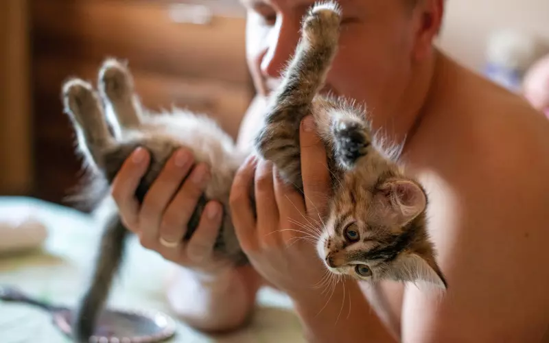 吴秀波联合原配撕小三：不够聪明的女人，就别和男人玩婚外情！