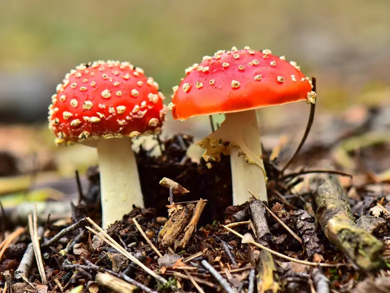 小鹿线下邀请你，和美女一起晒海滩~