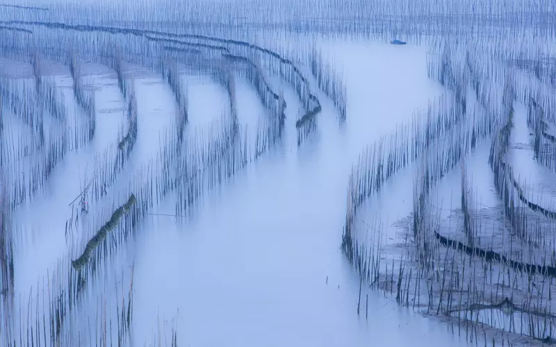 徐志摩：爱是水墨青花，何惧刹那芳华（真美！）