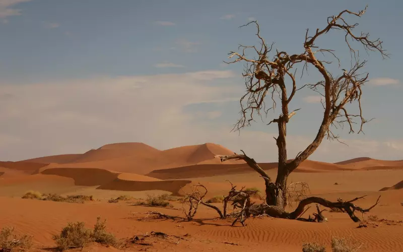 薛之谦《天份》：是因为你在爱情中没能学会点到为止