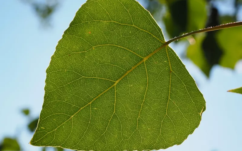杨绛：和谁争我都不屑