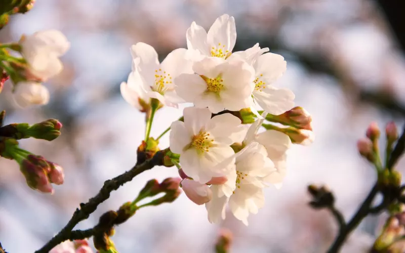 对呀八成你可能被骗炮了